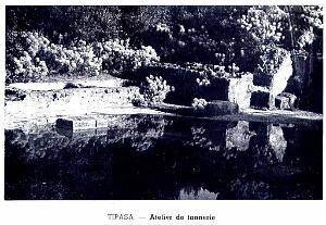 Villes Musees Algerie 090